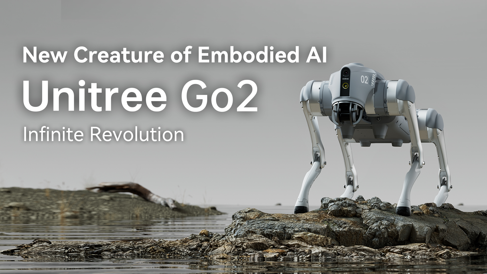 Unitree Go2 - Quadruped Robot of Embodied AI